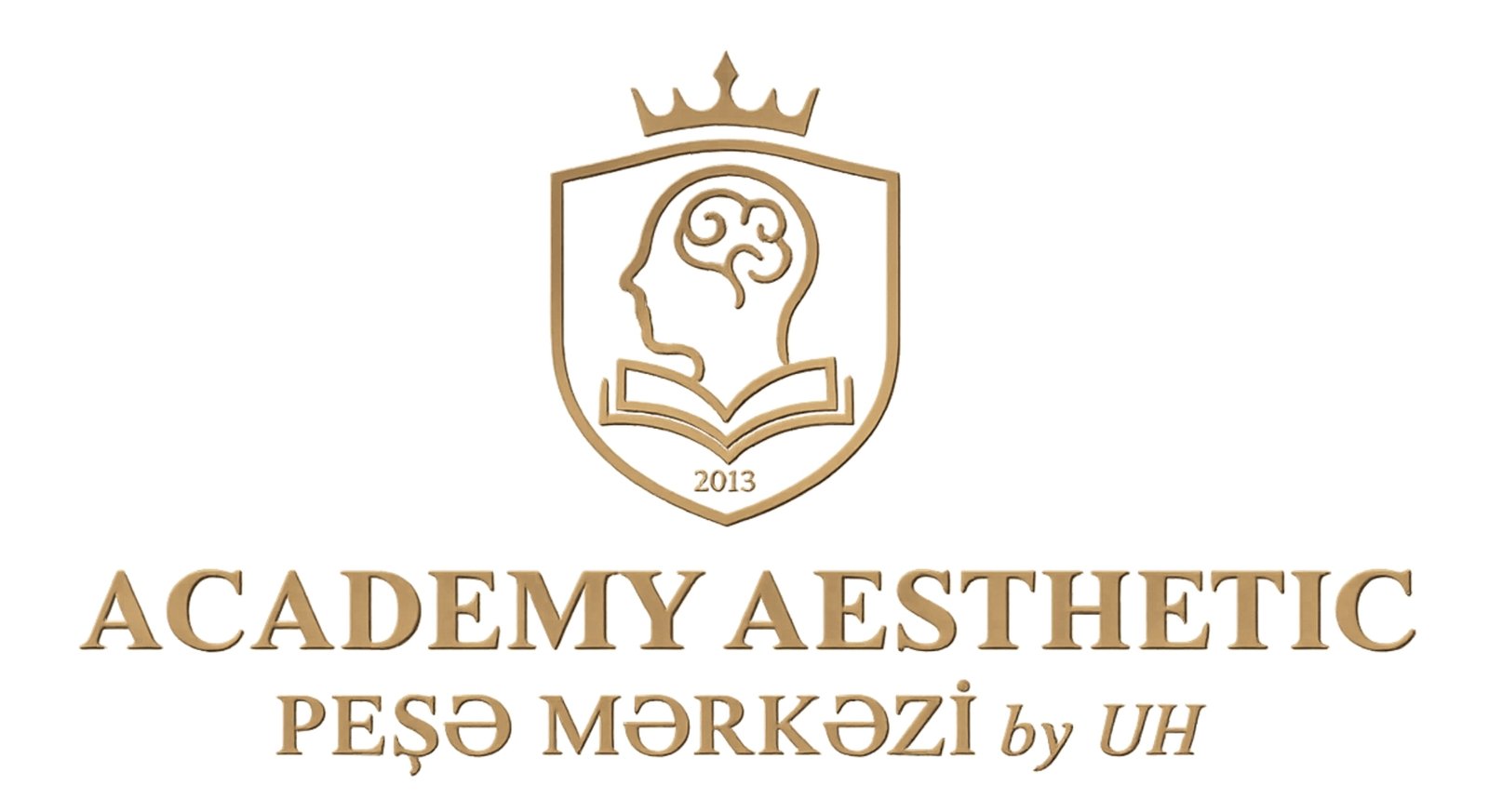 Academy Aesthetic by UH